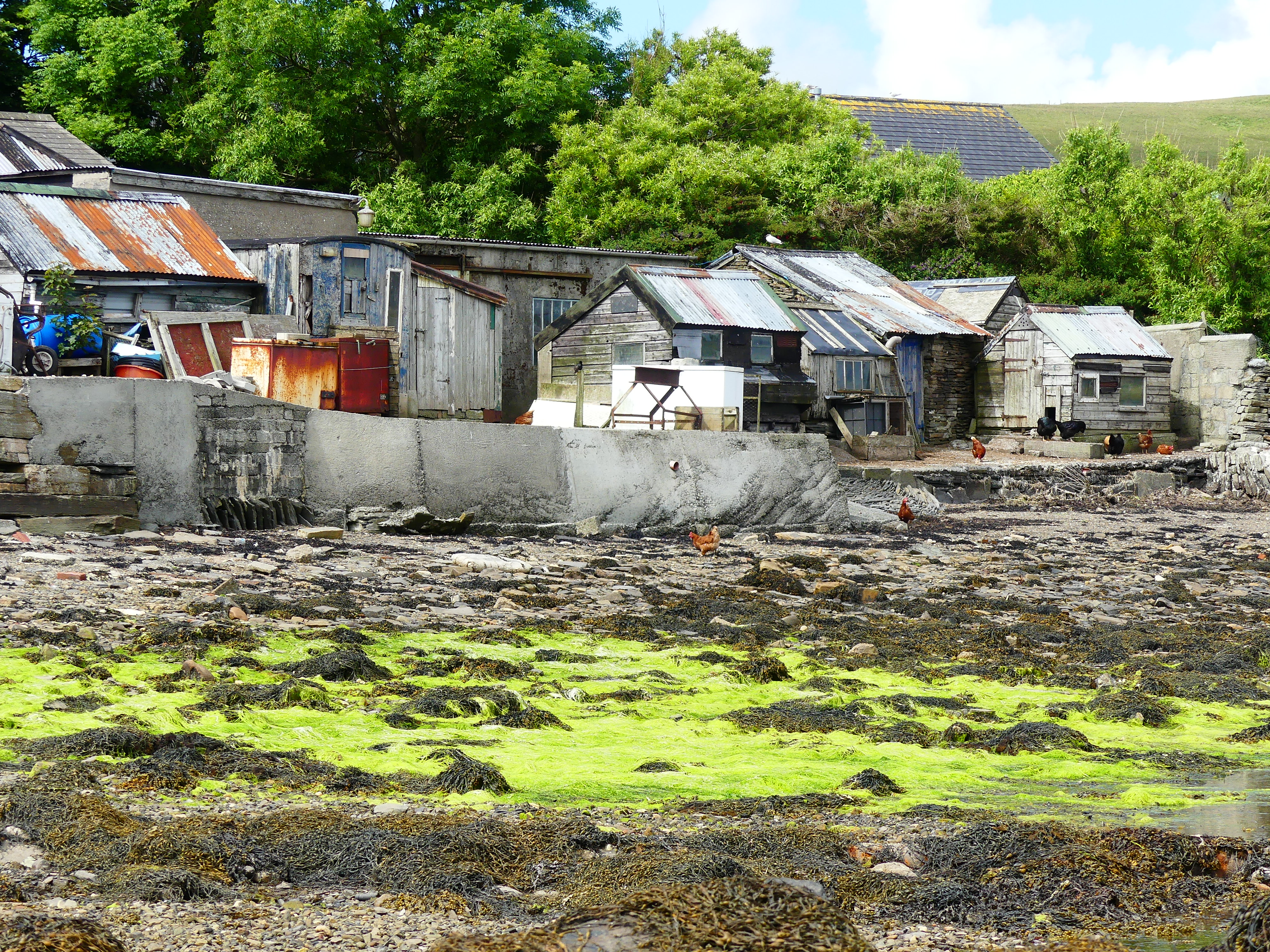 View looking west on the shore at Finstown