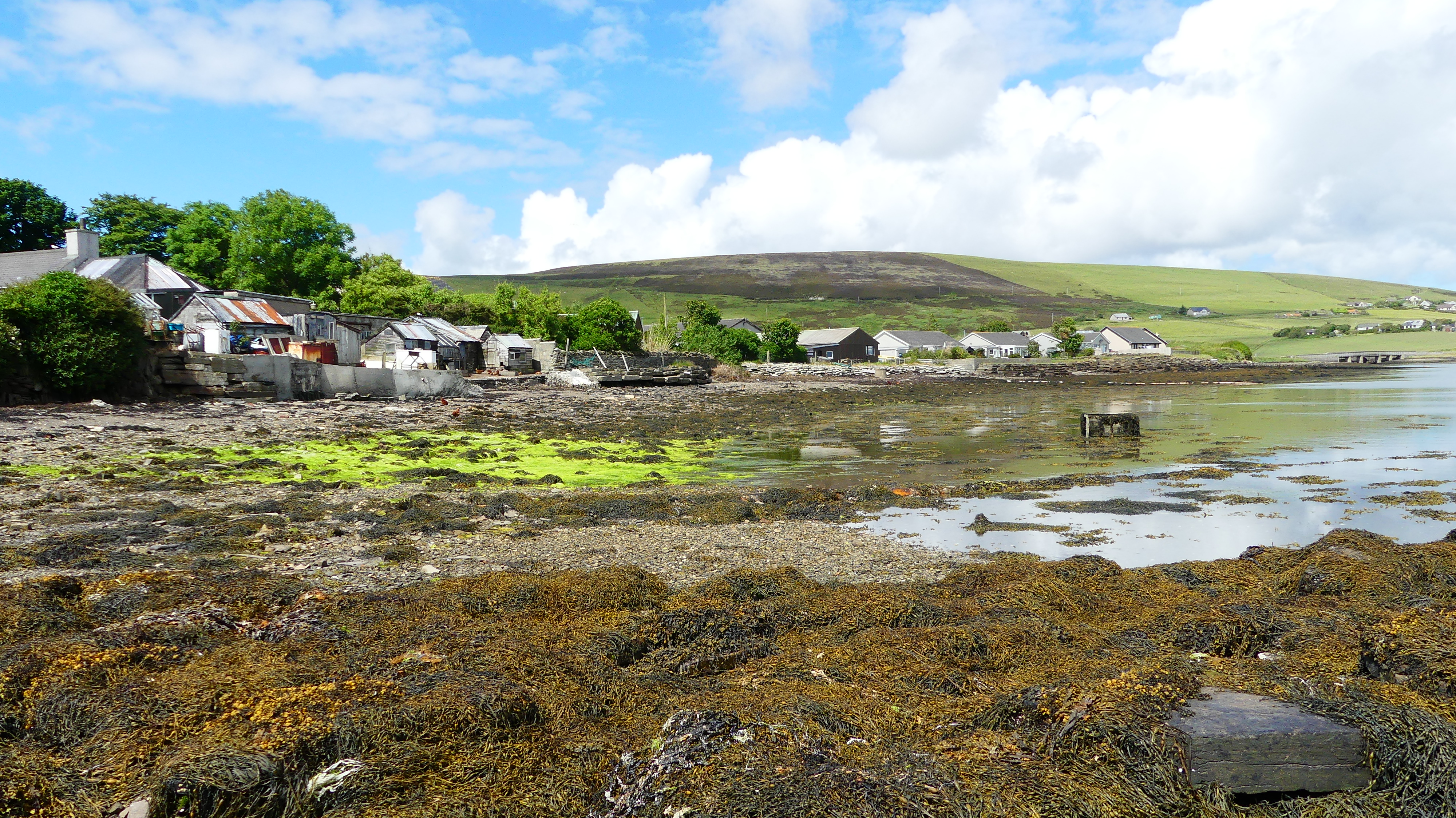 View looking west on the seashore at Finstown