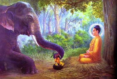 Tathagaata