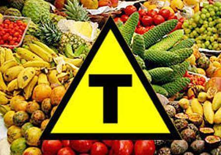 alimentos transgênicos