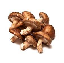 cogumelo shitake