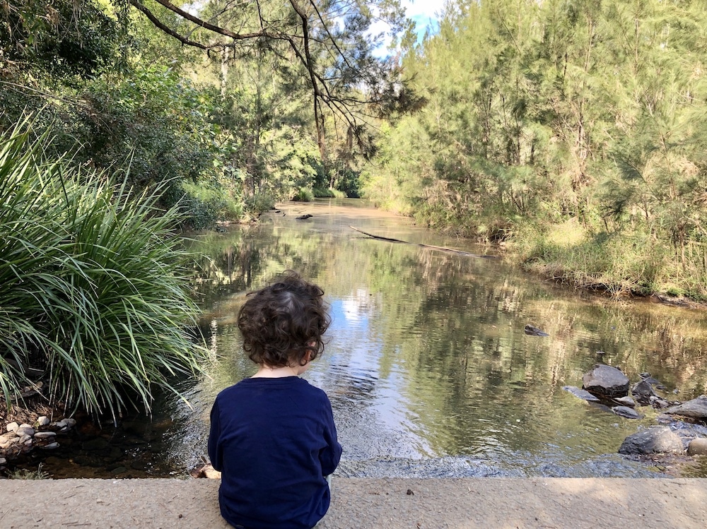Bunya Crossing Reserve boy overlooking the water