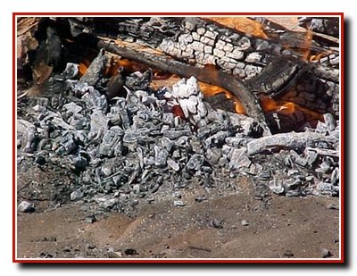 Органические удобрения Органические удобрения