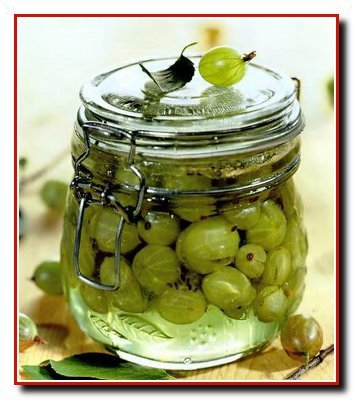 Ягодные культуры. Крыжовник Ягодные культуры. Крыжовник