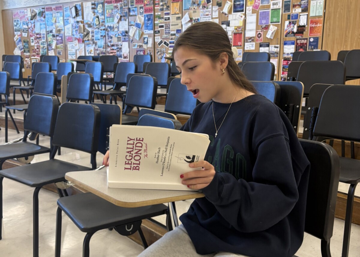 NCHS theater performers give advice on the audition process