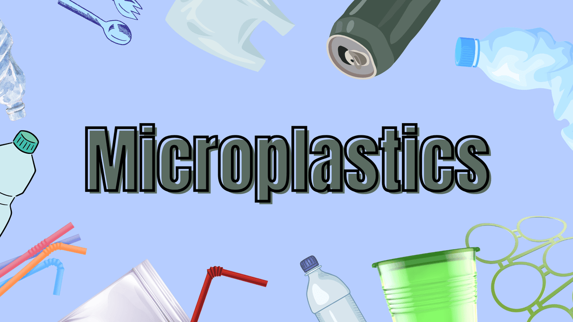 The impact of microplastics on humans and the environment