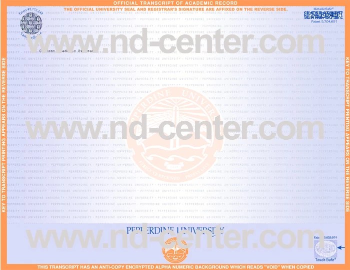 Fake Diploma Transcript