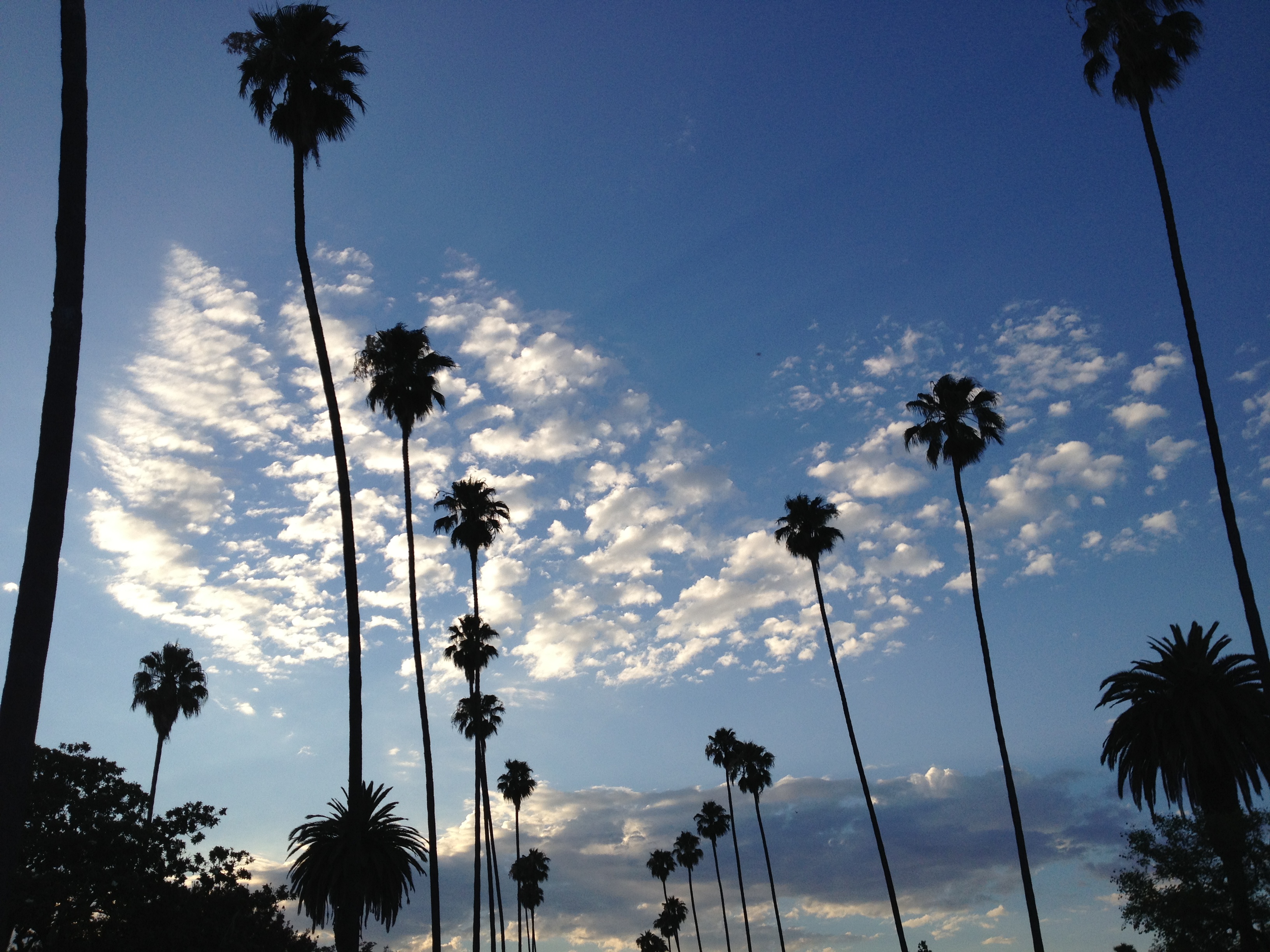 La calle Mission, en mi pueblo (ciudad, 91 mil habitantes) al este del downtown