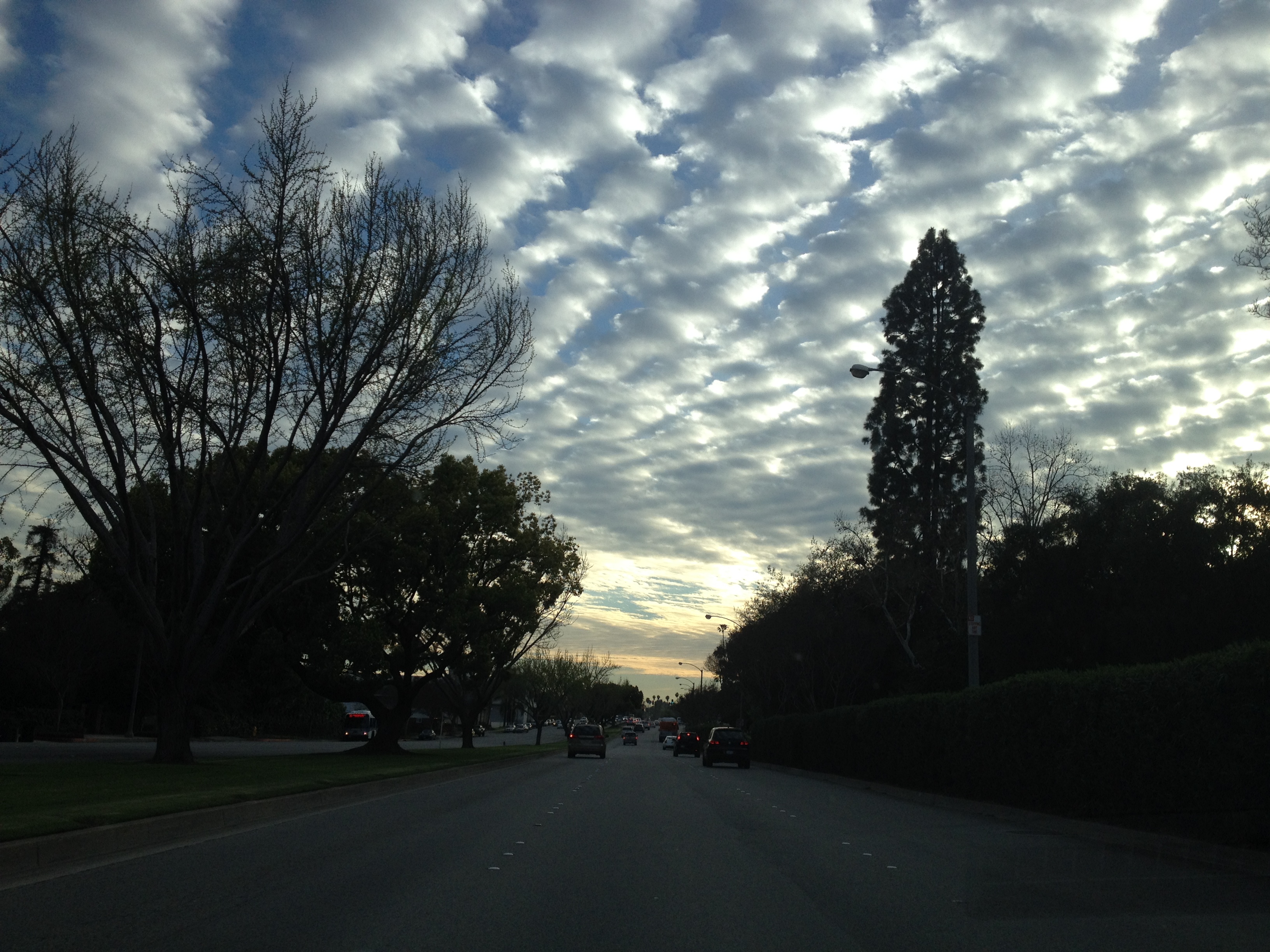 Huntington Drive, mi barrio