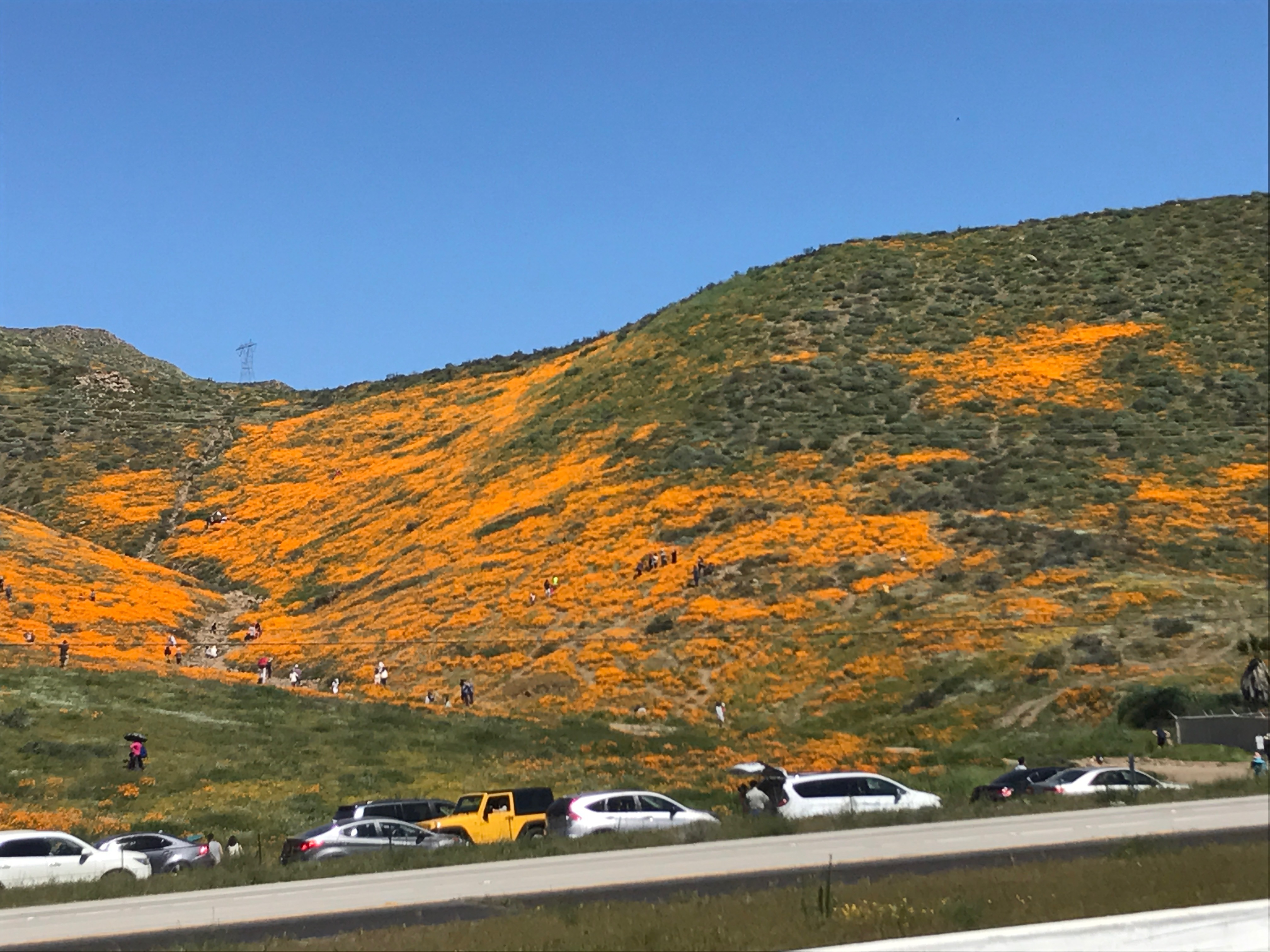 Primavera en Temecula, CA