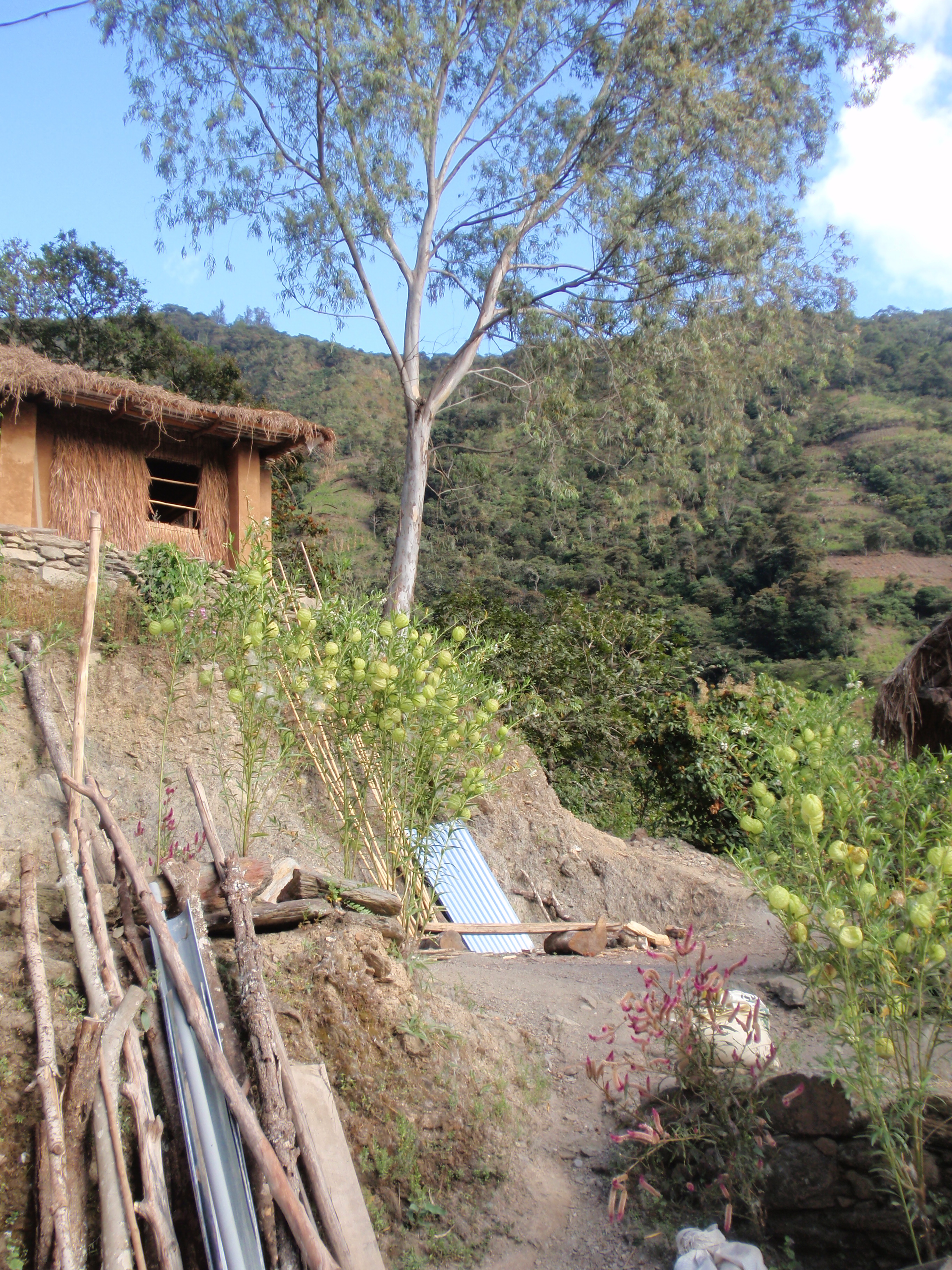 Le petit hameau, Santa Maria