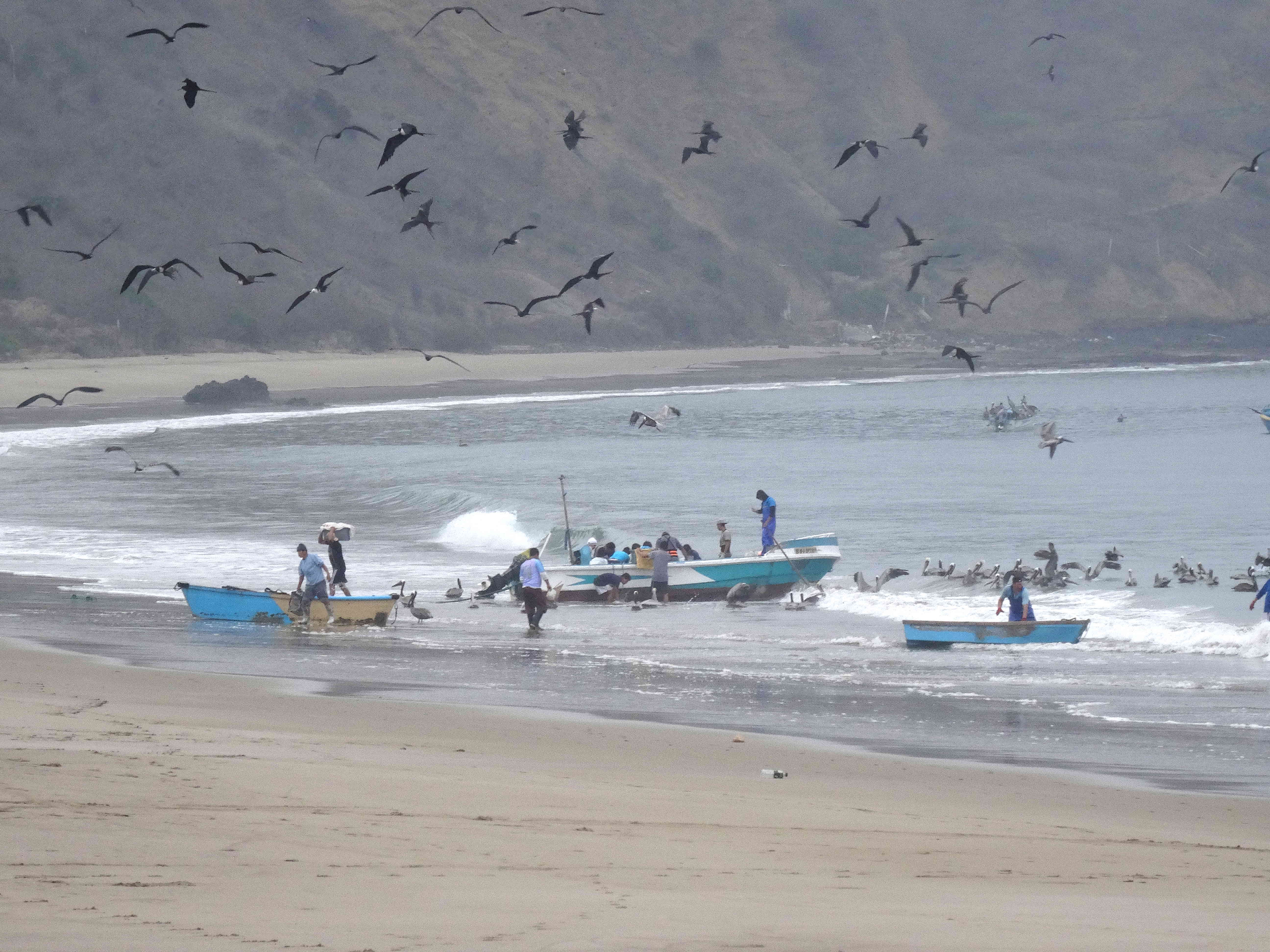 Bateaux de pêcheurs