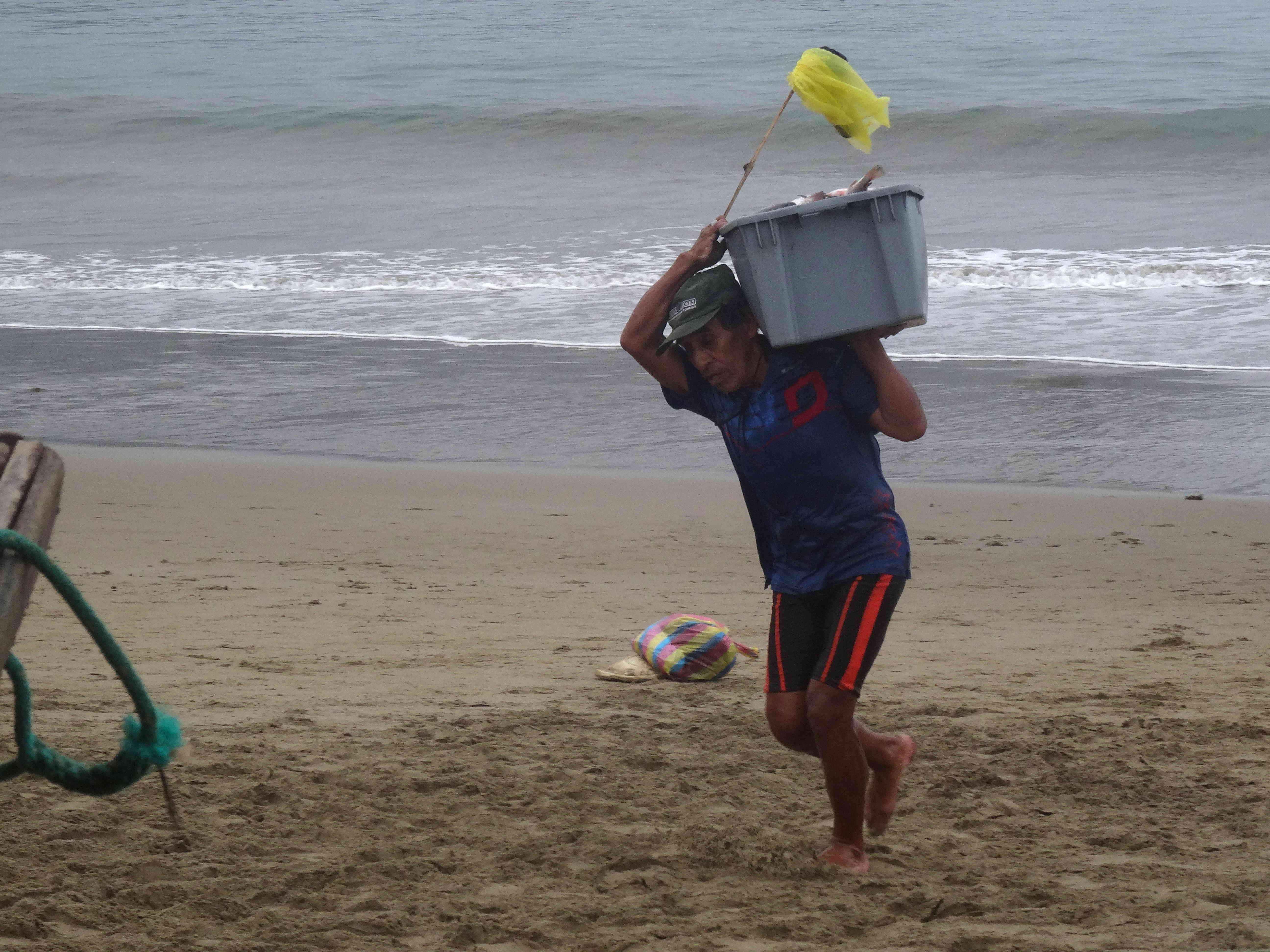 Remontée du poisson