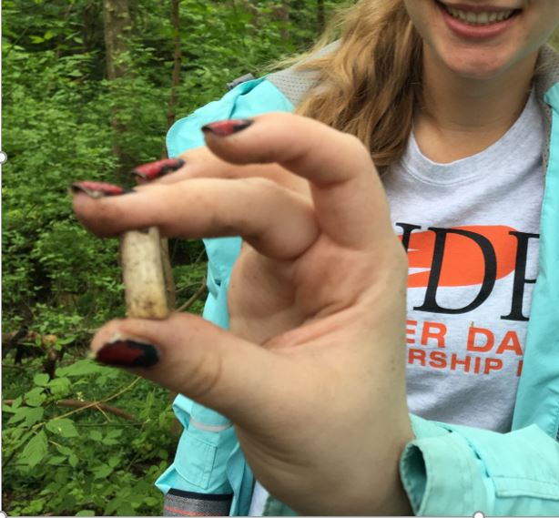 A pipe stem