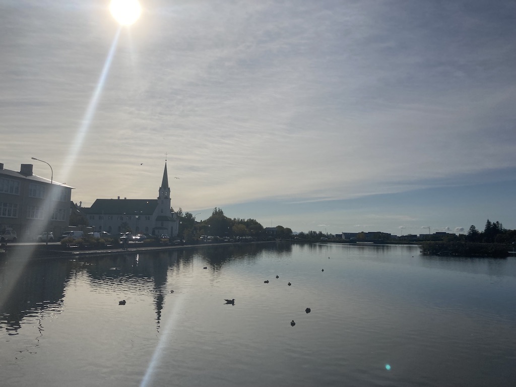 Reykjavik Pond