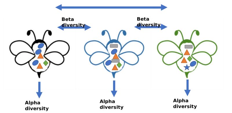 Chapter 3 Introduction To Microbiome Analysis Decoding Microbiota - Classic 4K Ocean Backgrounds | Free Download