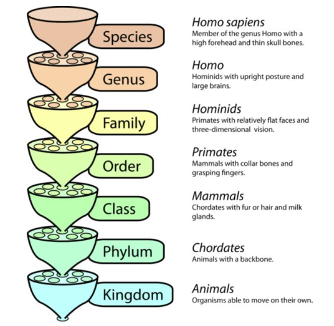 Chapter 3 Introduction To Microbiome Analysis Decoding Microbiota - Premium Space Art Gallery - High Resolution