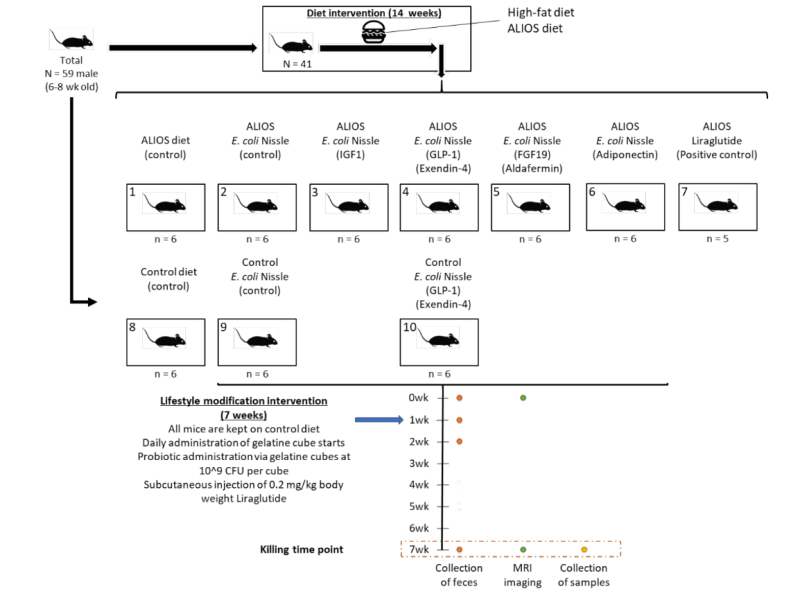 Chapter 2 Upstream Analysis Decoding Microbiota - Download High Quality Vintage Illustration | Mobile
