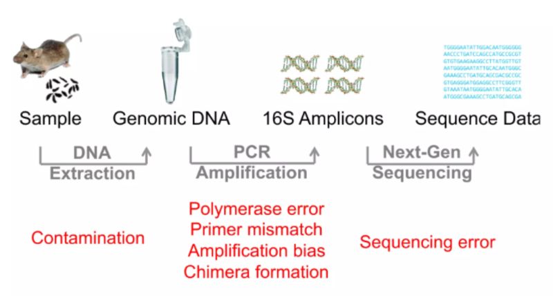 Chapter 2 Upstream Analysis Decoding Microbiota - Elegant Desktop Nature Textures | Free Download