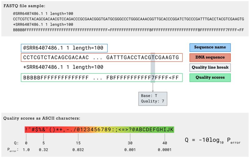 Chapter 3 Introduction To Microbiome Analysis Decoding Microbiota - Gradient Designs - Incredible 8K Collection