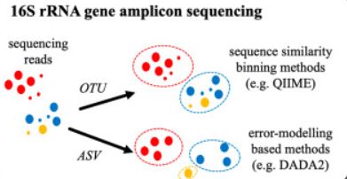 Chapter 3 Introduction To Microbiome Analysis Decoding Microbiota - Premium Light Pattern Gallery - 4K