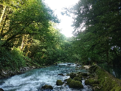 Все главные достопримечательности абхазии за один день — советский курорт гагра, горное озеро рица и. Gid Ekskursovod V Abhazii Vitalij Beniya