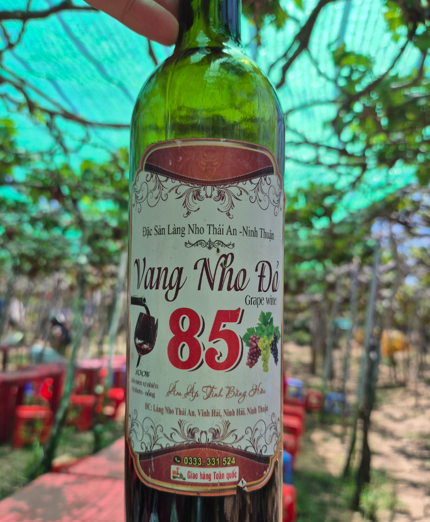 베트남 닌투언 포도밭 Sang Tin Vineyard