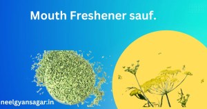 Mouth Freshener Sauf In Hindi | सौंफ| Mouth Freshener Sauf In Hindi | सौंफ|