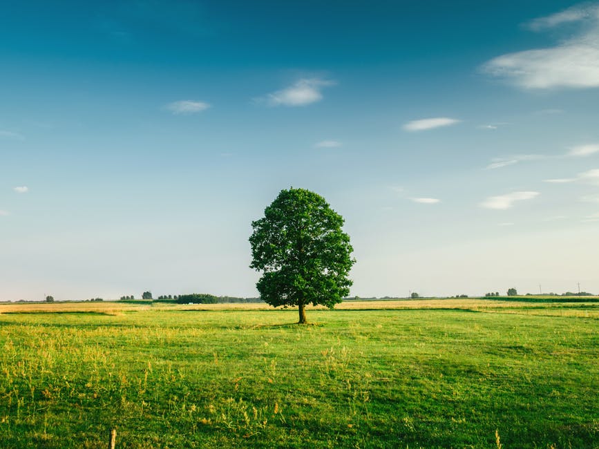 Carbon Footprint of Your Business