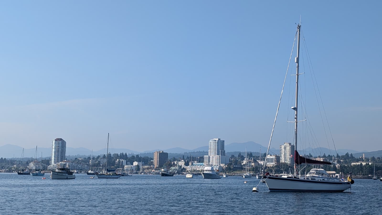 Mehr über den Artikel erfahren Alte und neue Bekanntschaften 