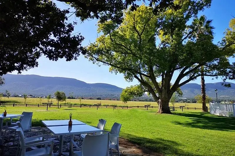 An outdoor table set under a tree at The Oaks, looking across the lawns to the Magaliesberg