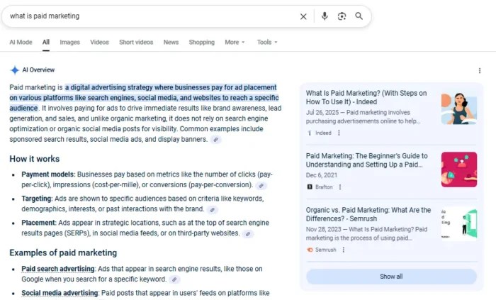 An AI overview for what is paid marketing.