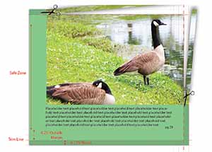 An example of KDP Guidelines on a page.