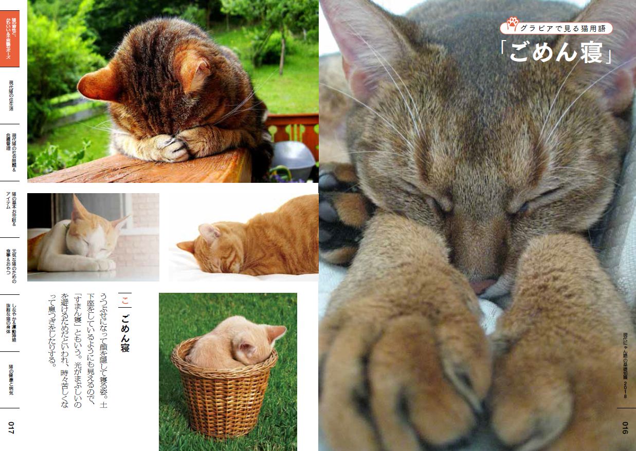 用語から知る猫基礎知識、あの現代用語辞典に猫版が登場 | 猫