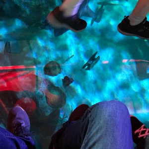 Ripleys aquarium glass bottom boat water Myrtle Beach South Carolina