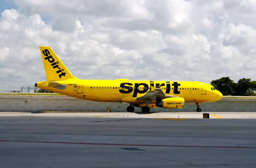 Una rata aparece en pleno vuelo de Spirit