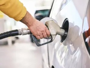Eliminar la “crudita” no asegura una reducción en el costo de la gasolina, advierte Hacienda