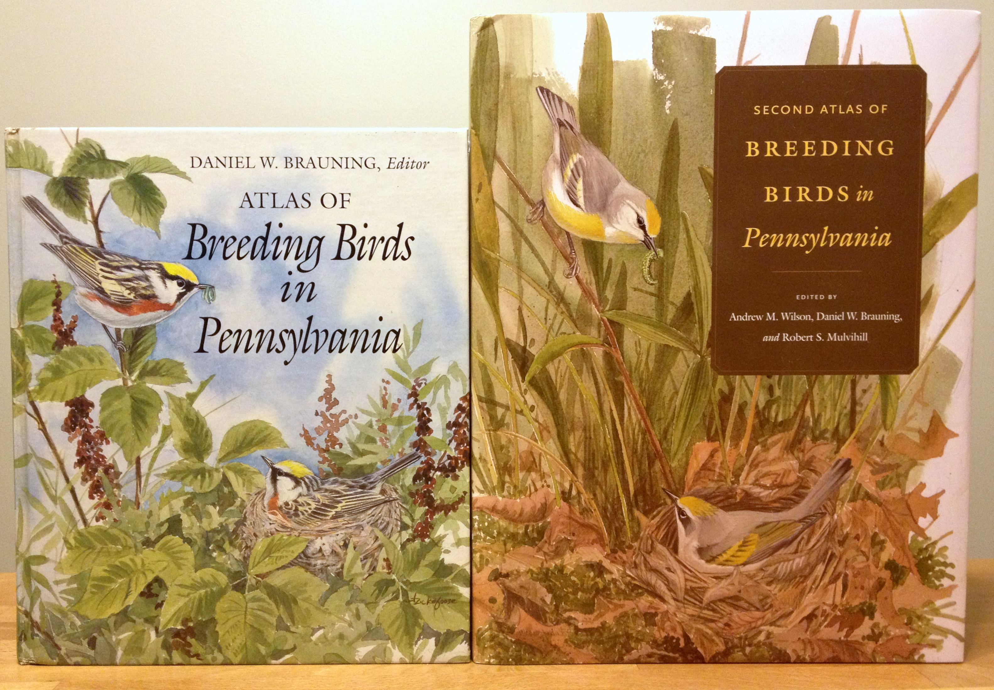 Review- Second Atlas of Breeding Birds in Pennsylvania by Drew