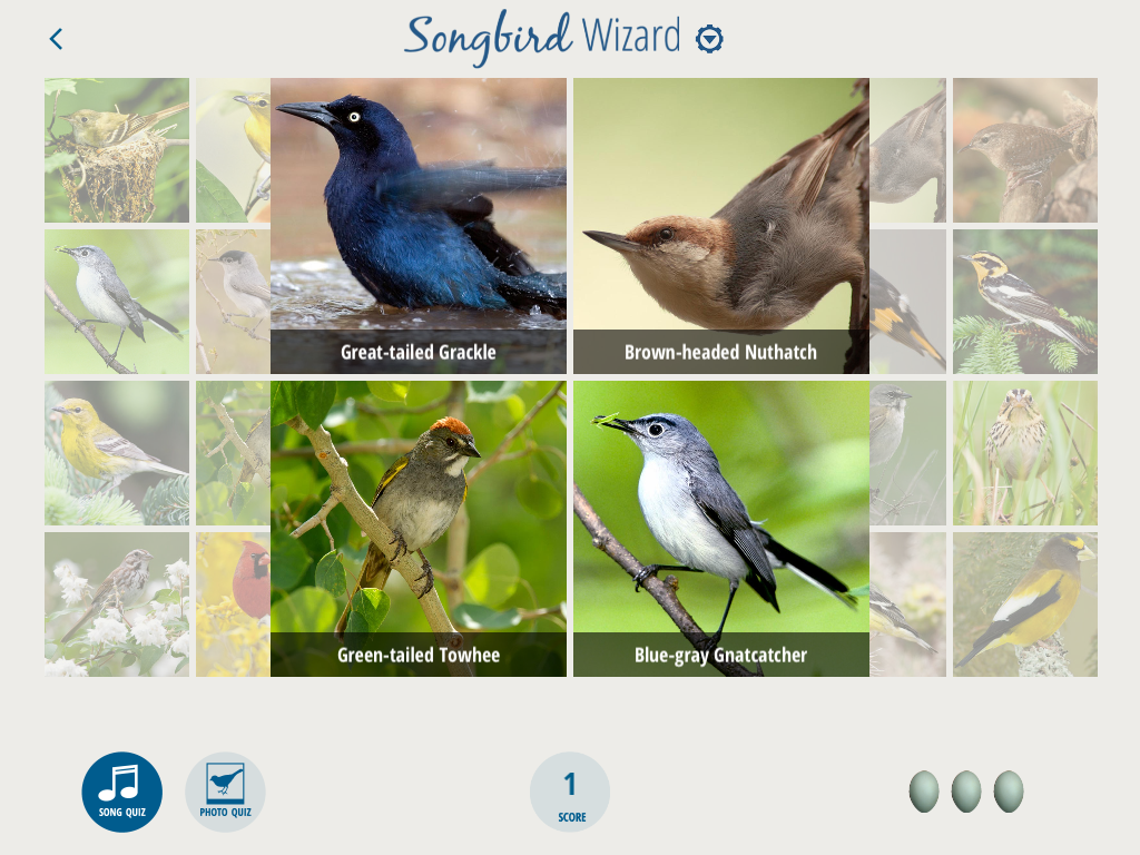 Song Identification Game