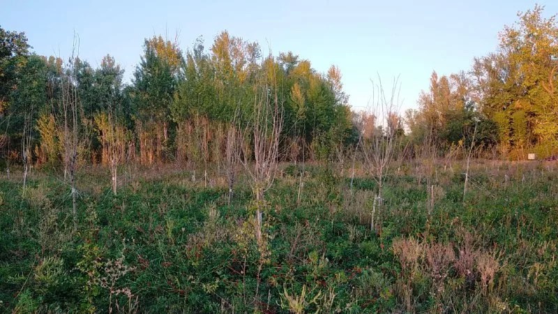 компенсационные посадки