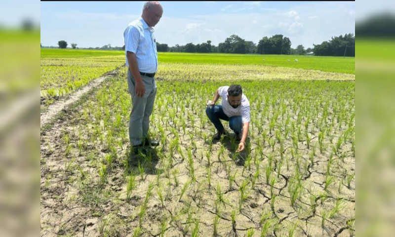 Assam’s drought crisis