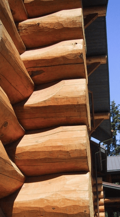 log cabin shell