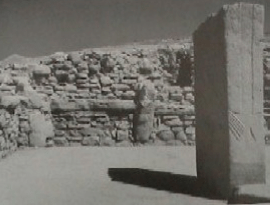 This image has an empty alt attribute; its file name is nevali-cori-building-5800-1024x778.png