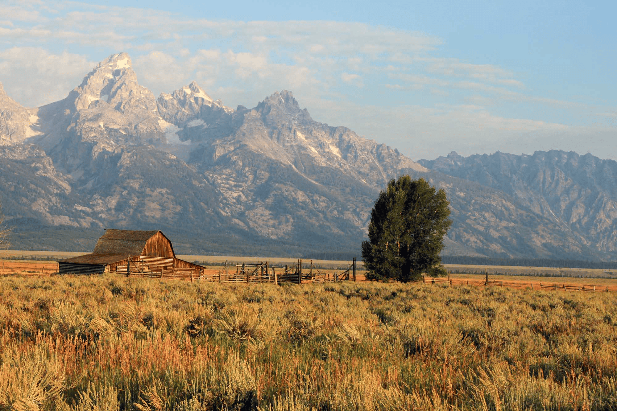 Free Camping in the Grand Teton Mountains - Neon Bison