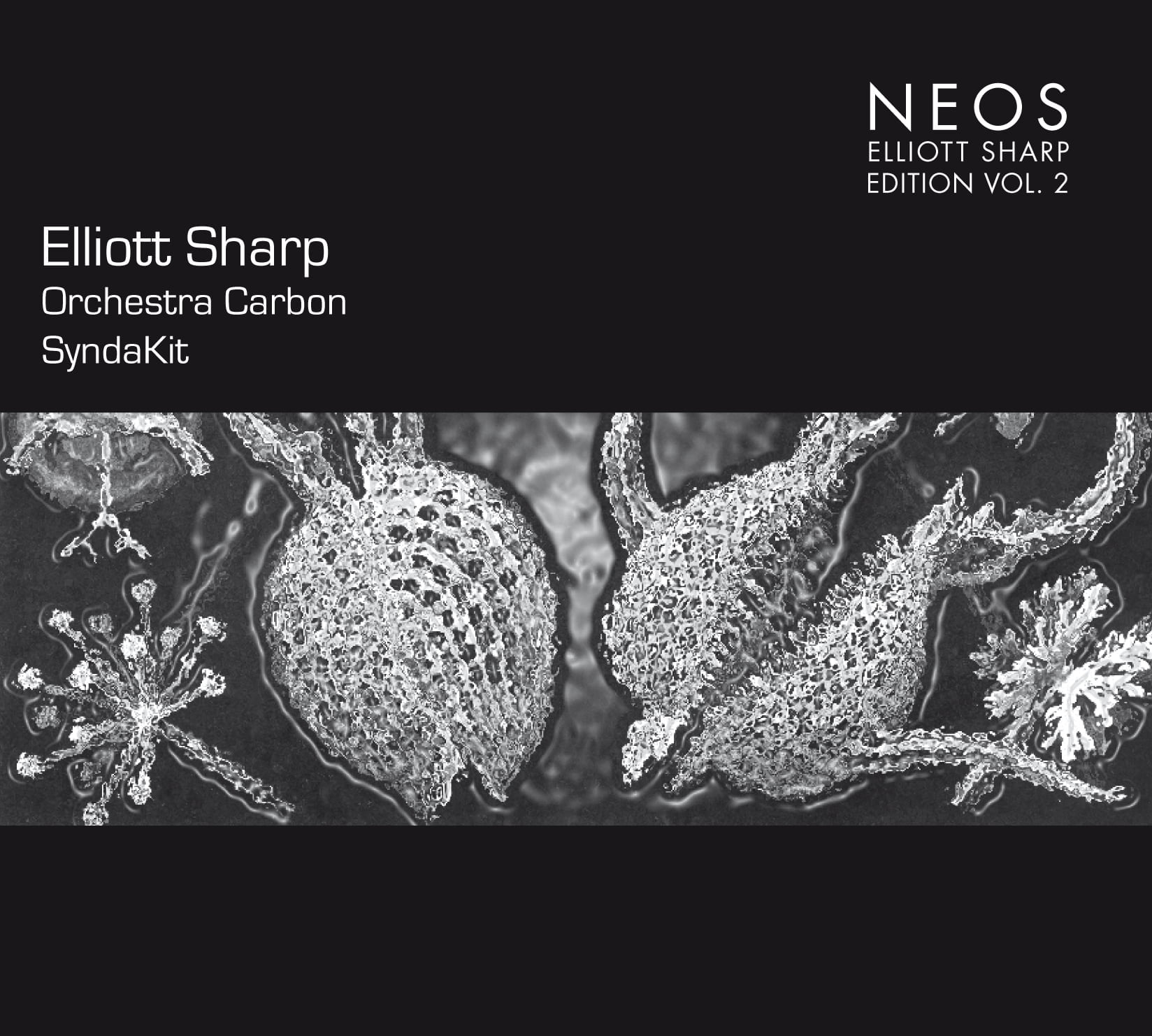 Elliott Sharp: Orchestra Carbon - SyndaKit