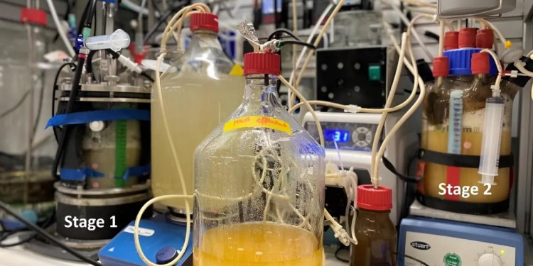 New Dual-Reactor Technology Converts CO2 to Protein for Food and Sustainability Technology