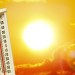 The Impact of Heatwaves on Human Aging: A Growing Concern Aging