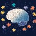 Understanding How the Brain Tracks Complex Social Interactions Brain