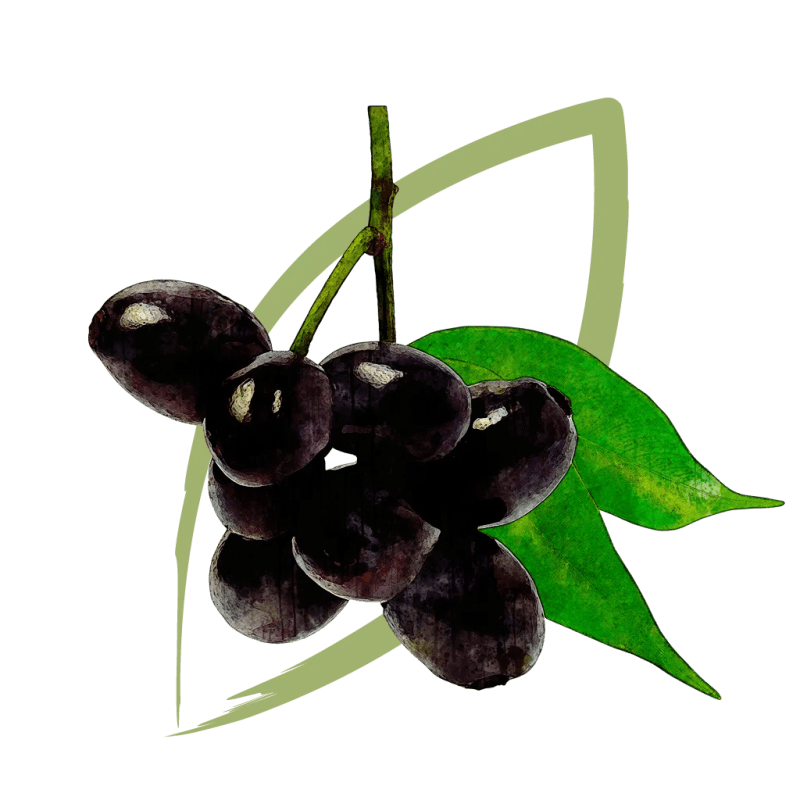 Java Plum Nepal Desk - Gorgeous Landscape Background - Ultra HD