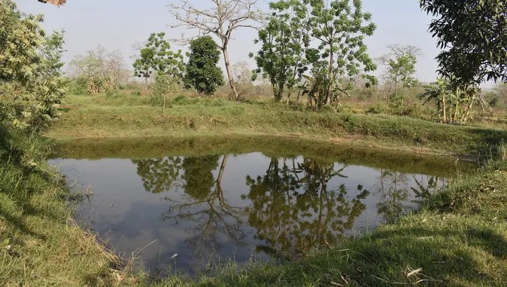 machha_palan